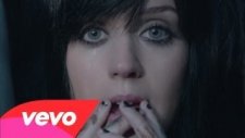 Katy Perry - The One That Got Away