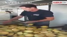 Gerçek Hayattaki Fruit Ninja Bulundu