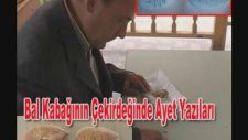 Tüm Mucize Ve İbretlik Resimler Bir Arada {mucizeler Müzesi} {part4}