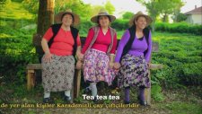 Lipton Give A Voice To Tea - English Subtitle