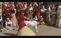 Zingarella