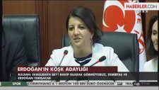 MHP ve HDP, Erdoğan'ın İstifası İçin YSK'ya Gidiyor