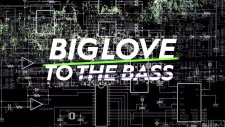 Daddy's Groove Vs Nari & Milani - Big Love To The Bass