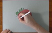 3d Çilek Çizimi