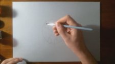 3d Hindistan Cevizi Çizimi