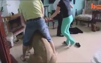 Evdeki Misafire Saldıran Aslan