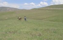 Eşşeği Saldım Çayıra Şarkısına Amatör Klip