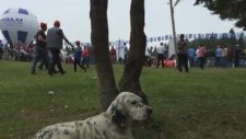 Trabzon Akçaabat Avcıları Koruma Ve Yaşatma Derneği Avcı Bayramı