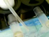 Biomatrics Ps