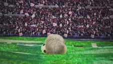 Tiny Hamster Predicts 2014 World Cup Finals - Germany vs Argentina