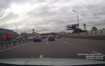 Sokak Kedisinden Azraile Efsane Çalım