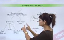 Hücre Zarından Madde Geçişi - YGS-LYS Biyoloji Konu Anlatımı - LİSEGO