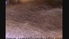 Yörük Çadırı Yapım Aşamaları