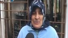Dedeye Sahip Çıkalım