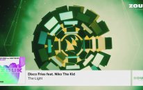 Disco Fries Feat. Niko The Kid - The Light (Radio Edit)