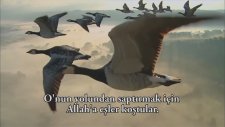 İbrahim Suresi