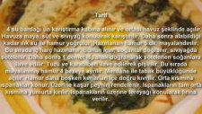 Yumurtalı Ispanaklı Pide Tarifi