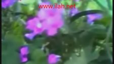 Dursun Ali Erzincanlı - 40 Yaşındasın Şiiri ,dinle,ilahi Dinle,ilahiler Dinle,ilahi,www.ilah.net