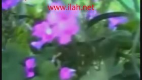 Dursun Ali Erzincanlı - 40 Yaşındasın Dursun Ali Erzincanlı - 40 Yaşındasın