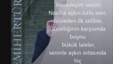 Semih Ertürk - Sonbaharda Hüzün
