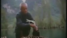 Karabatak İle Balık Avı