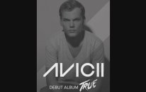 Avicii - Hey Brother (Audio)