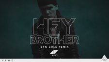 Avicii - Hey Brother (Syn Cole Remix) (Pete Tong Radio 1 Premiere)