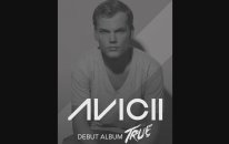 Avicii - Wake Me Up (Audio)