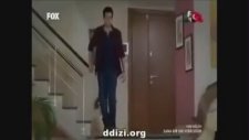 Tilkinin Aylini Gizli Öpmeleri