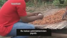 İlk Defa Çikolata Gören Kakao İşçileri (Türkçe Altyazılı)