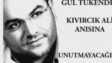 Kıvırcık Ali - Şeçmeler