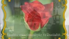 Güller Açmış Ravzasında