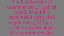 Sen Artık Unutacağım Boş Bir Anısın