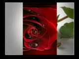 Dj Kral Senden Sonrası Yok