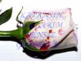 Ecel Olsun Bana Senden Başkası