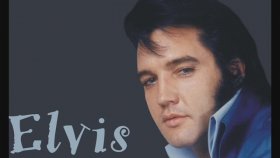 Elvis Presley - The Wonder You Elvis Presley - The Wonder You