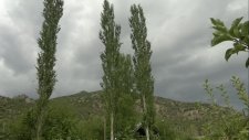 Köyümüz Arazilerinden Görüntüler