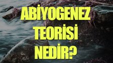 Abiyogenez Nedir? Tek Cümlede Evrim