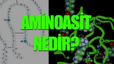 Aminoasit Nedir? Tek Cümlede Evrim