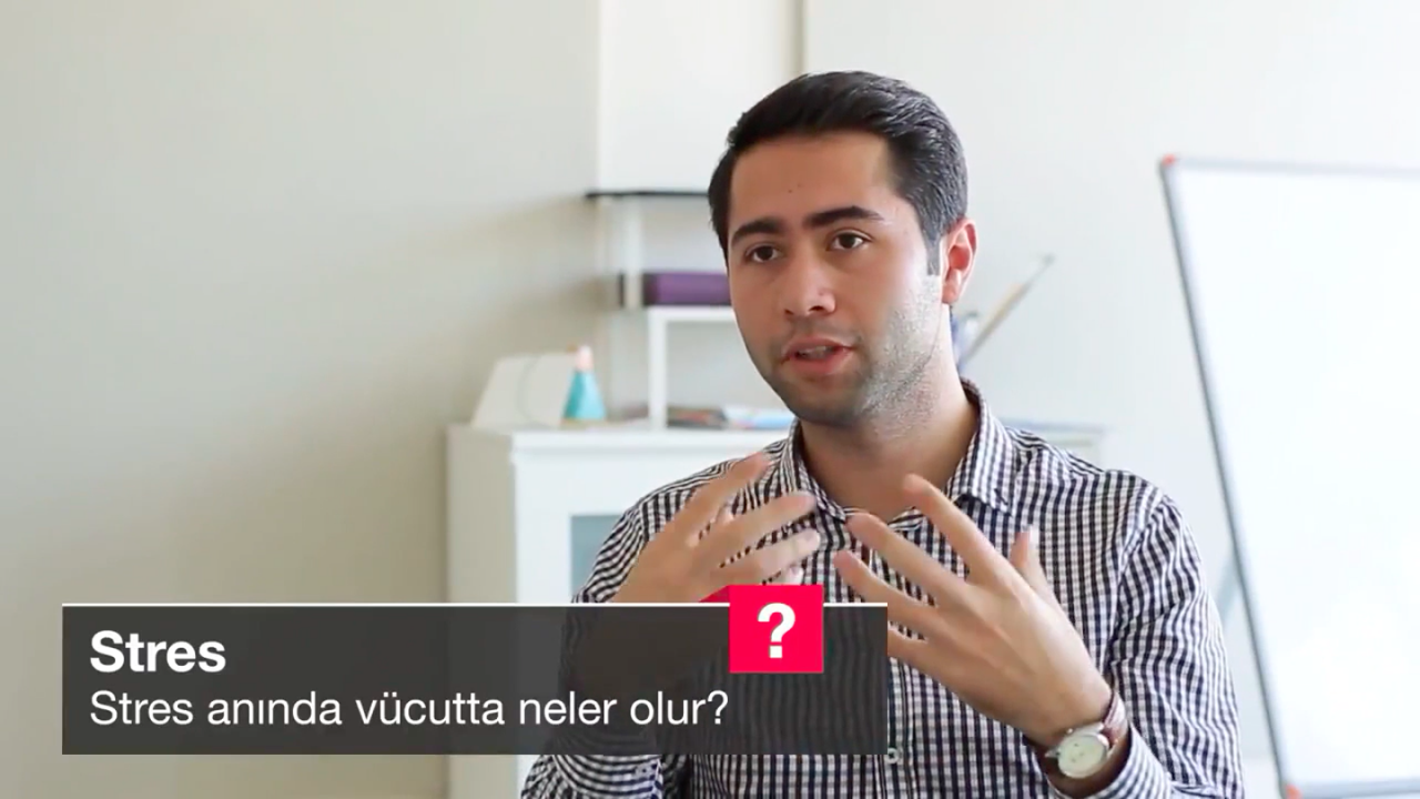 Stresin Vücuda Etkileri Nelerdir Stresin Vücuda Etkileri Nelerdir