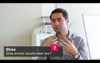 Stres Anında Vucutta Neler Olur?