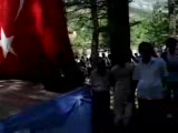 2007 Festival