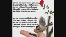 Haşim Koç - Saza Niye Gelmedin Haşim Koç - Saza Niye Gelmedin