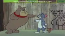 Tom Ve Jerry (türkçe)