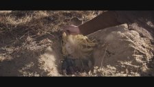 The Homesman Official UK Trailer (2014) - Tommy Lee Jones, Hilary Swank Western HD