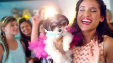 Gina Naomi Baez Feat. Tinkerbelle The Dog - Cupcakes
