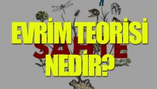 Evrim Teorisi Nedir? - Tek Cümlede Evrim