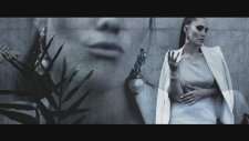 Alpines - Zero