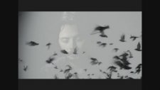Serhad Raşa - Mapusun İçinde Üç Ağaç İncir