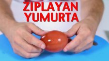 Yumurta Kabuğunu Eritme Deneyi